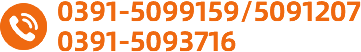 0391-5095179